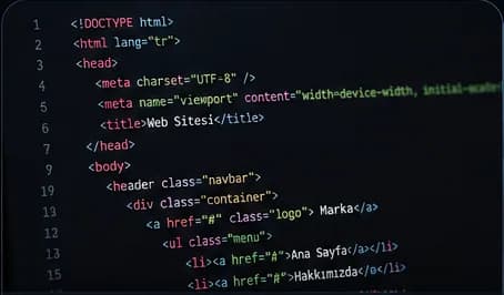 Web Siteleri